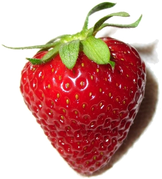 2015 Car Show and Strawberry Social